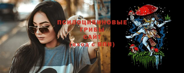 прущие крисы Ельня