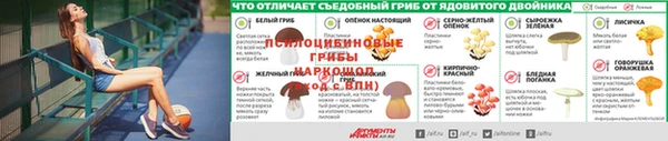 прущие крисы Ельня