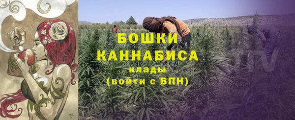 прущие крисы Ельня