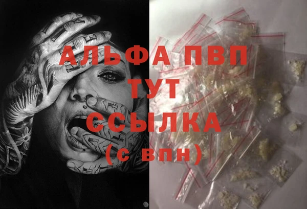 PSILOCYBIN Заводоуковск