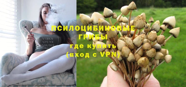 трава Дмитриев