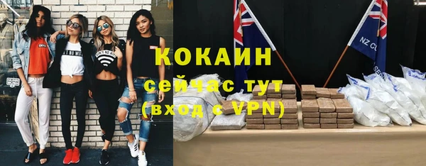 дживик Елабуга